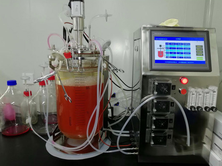 ���͹޹���ԭ����⣺�ӹ���ṹ������ϵͳ�ĺ����߼�