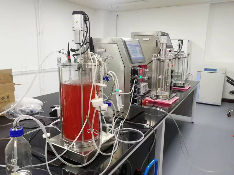 ���㲣�����͹�