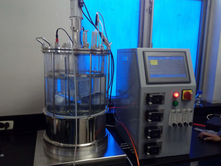 ������ҩ��ģ�������Ĺؼ�������ַ��͹޵�Ӧ�������뼼��ͻ��