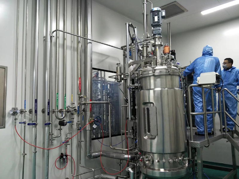 ȫ�Զ�����ַ��͹�